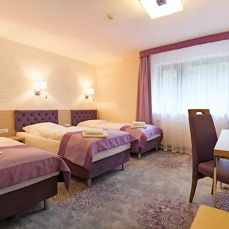 Hotel Jamrozowa Polana Hotel&browar 3*
