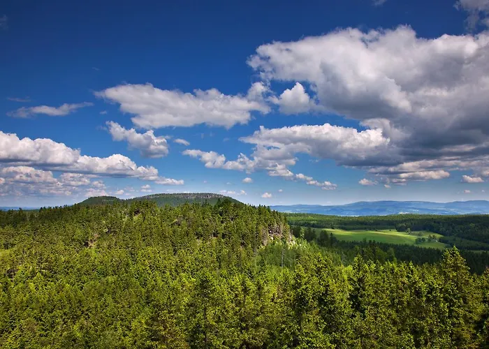 Jamrozowa Polana & Browar