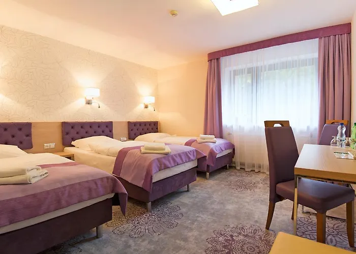 Hotel Jamrozowa Polana & Browar 3*
